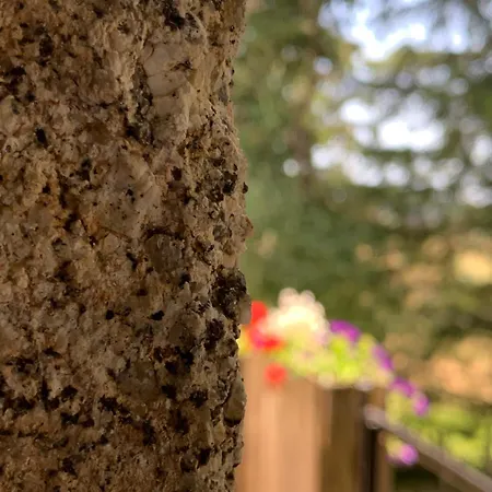 Σπίτι διακοπών Nature